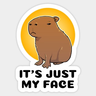 It's just my face Capybara Sticker